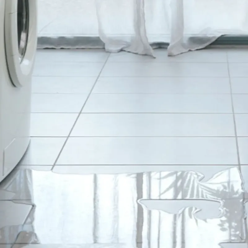 Appliance Leak Cleanup in Pinehurst, ID