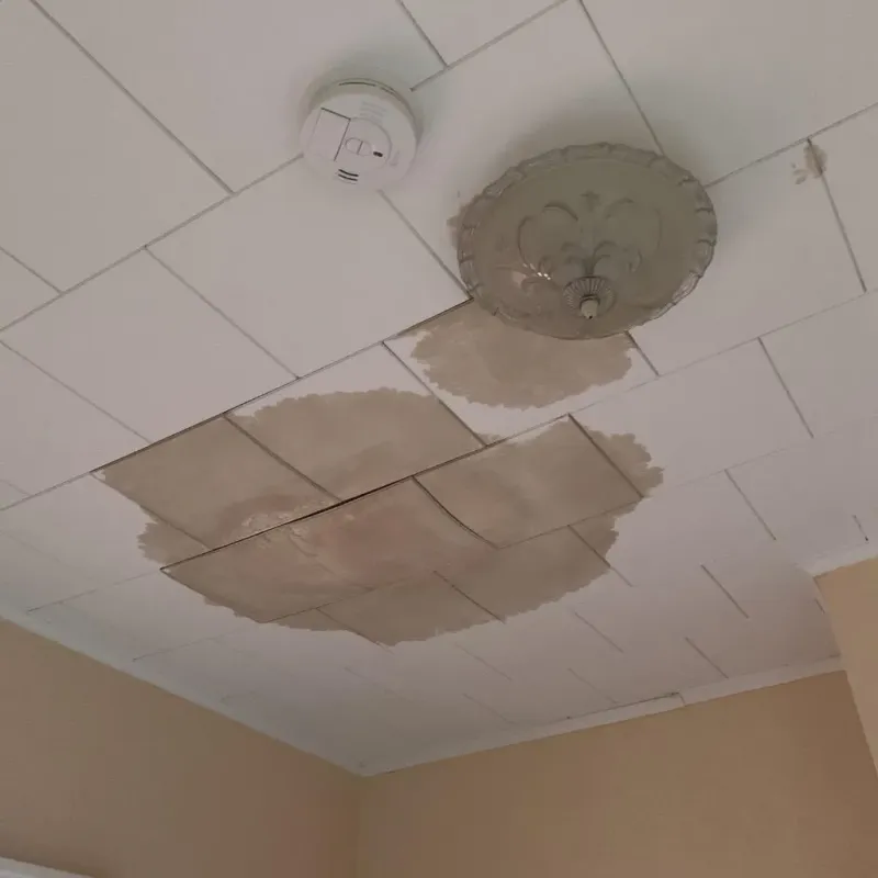 Ceiling Water Damage Repair in Pinehurst, ID