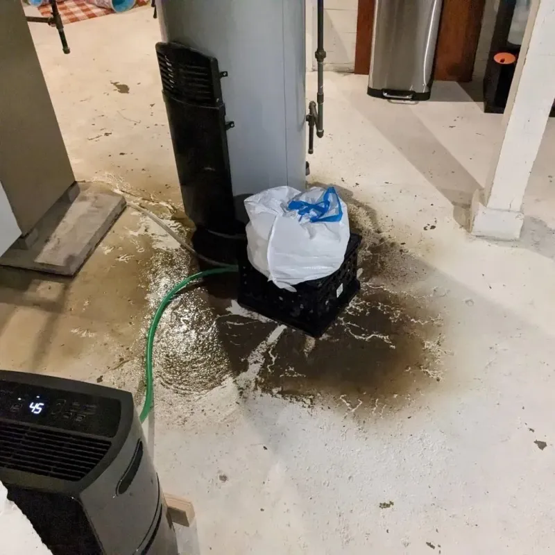 Sewage Backup Cleanup Service in Pinehurst, ID